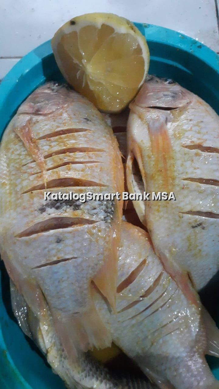 Ikan Nila Segar Marinasi