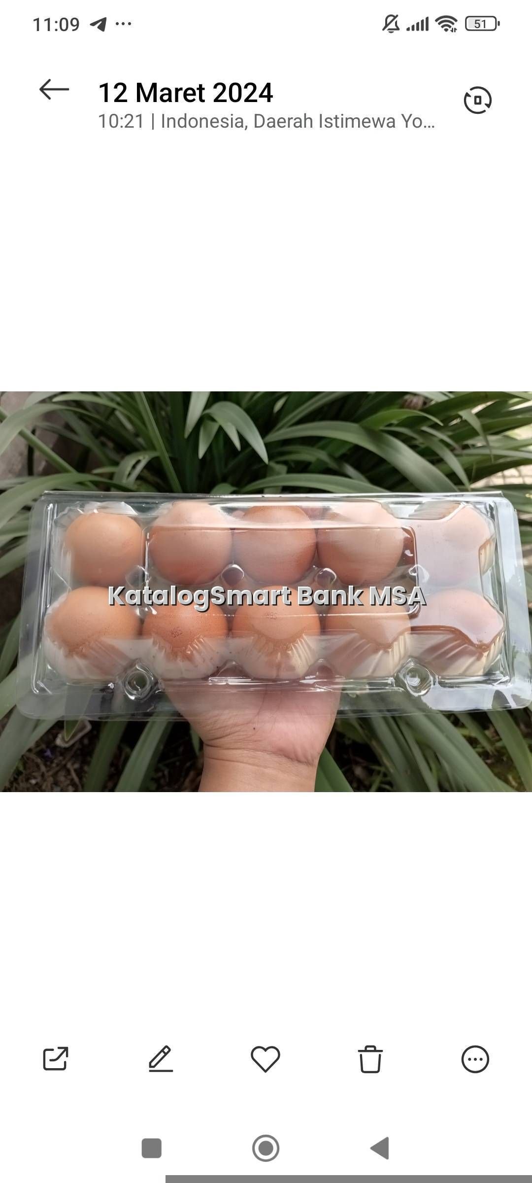 Telur omega 3 (isi 10butir)